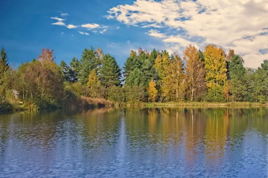 lake2 (1).webp