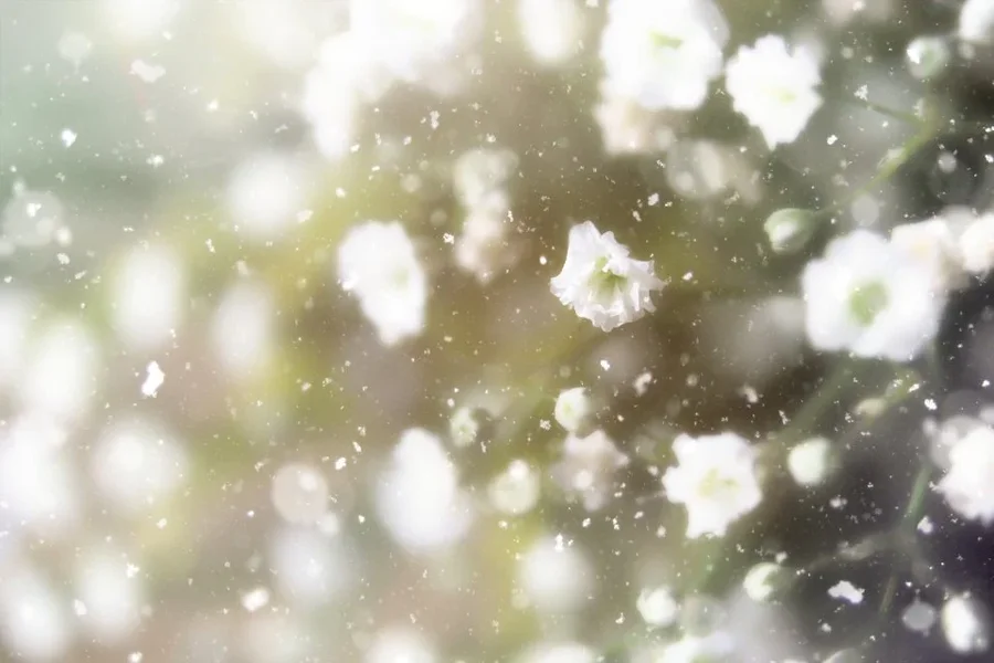 white3.webp