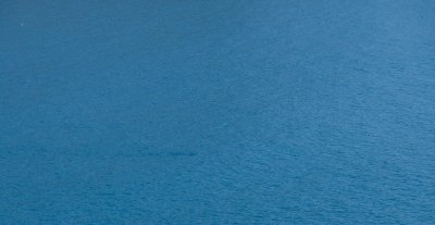 HSTM_IMG9577.jpg HSTM_IMG9577.jpg