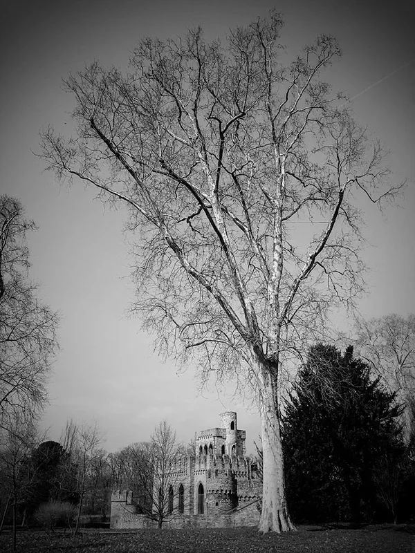 ci_PSX_20180325_154533.jpg
