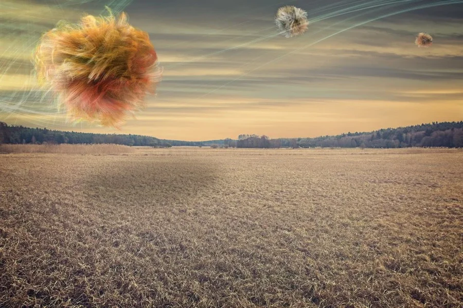 field1_with_balls.webp