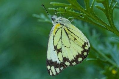 HSTM_IMG2354.jpg