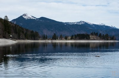 20180330-_IGP8595.jpg 20180330-_IGP8595.jpg