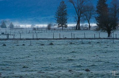 20180402-_IGP8768.jpg 20180402-_IGP8768.jpg