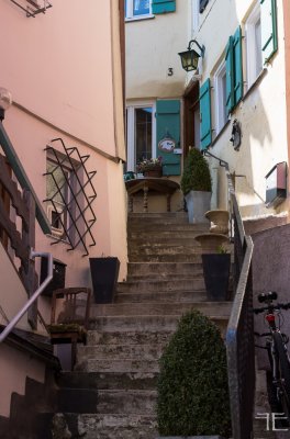 20180325-_IGP8408.jpg 20180325-_IGP8408.jpg