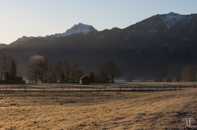 20180402-_IGP8793.jpg 20180402-_IGP8793.jpg