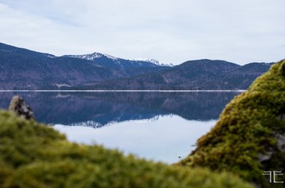 20180330-_IGP8638.jpg 20180330-_IGP8638.jpg