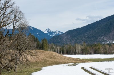 20180330-_IGP8663.jpg 20180330-_IGP8663.jpg