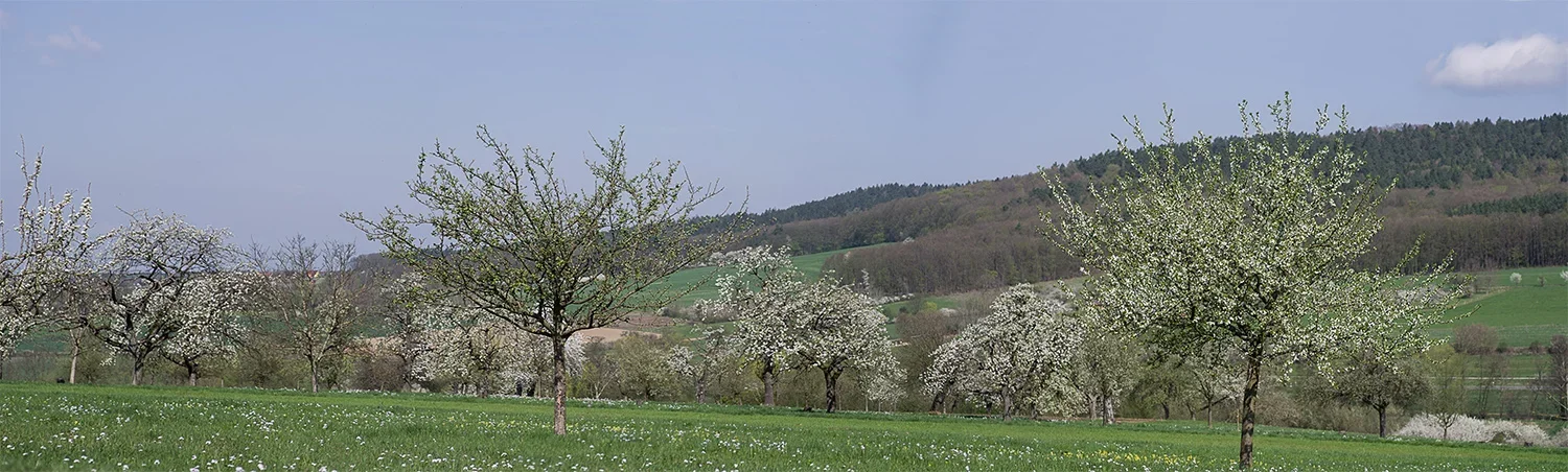 Unbenanntes_Panorama4.webp