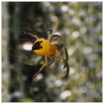 _small__IGP9888_2_DxO.JPG
