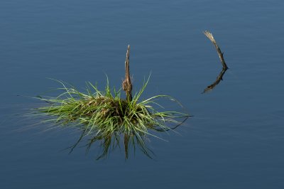 Macro_IMG2780.jpg