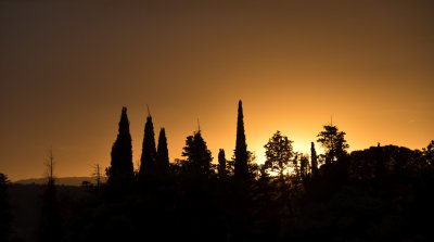 _DSC0559.JPG