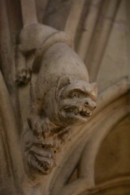 43BF024F-5FA3-40D2-B0A8-885F22C5389F.jpeg 43BF024F-5FA3-40D2-B0A8-885F22C5389F.jpeg