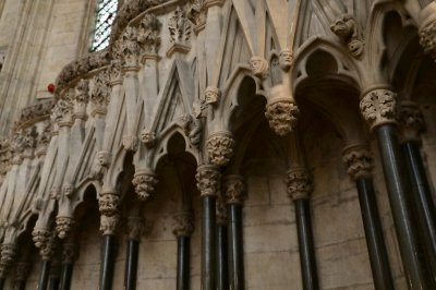 3A7EA08D-BF37-4312-A264-E55243F55C64.jpeg 3A7EA08D-BF37-4312-A264-E55243F55C64.jpeg