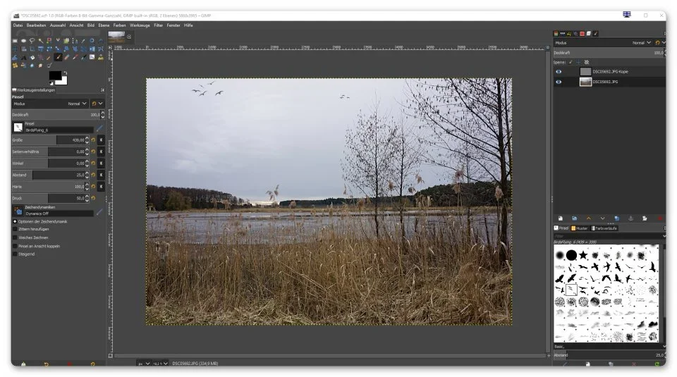 gimp.webp