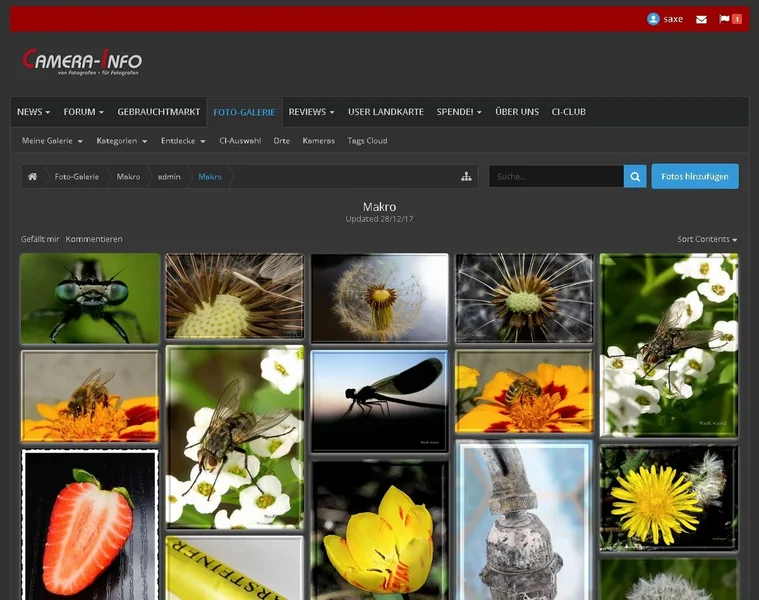 galerie1.webp