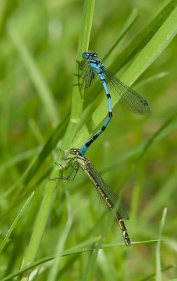 Macro_IMG3028-Bearbeitet.jpg