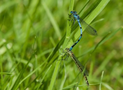 Macro_IMG3032-Bearbeitet.jpg