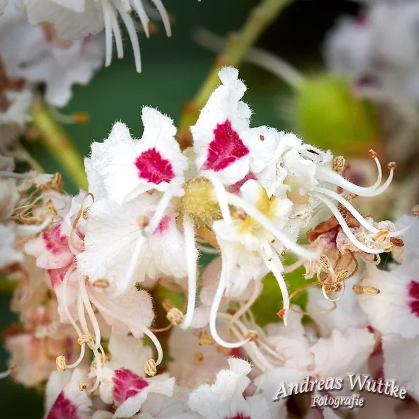 AK3_8047_C1.webp