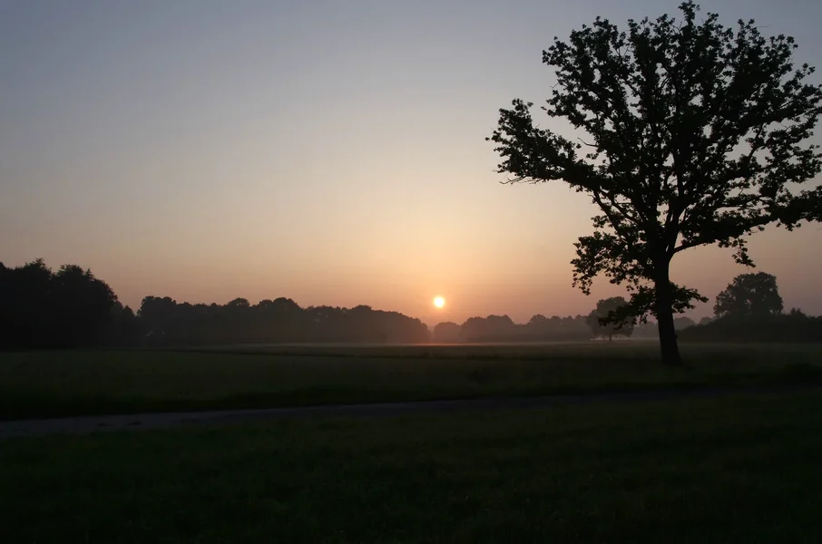 comp_1050.webp