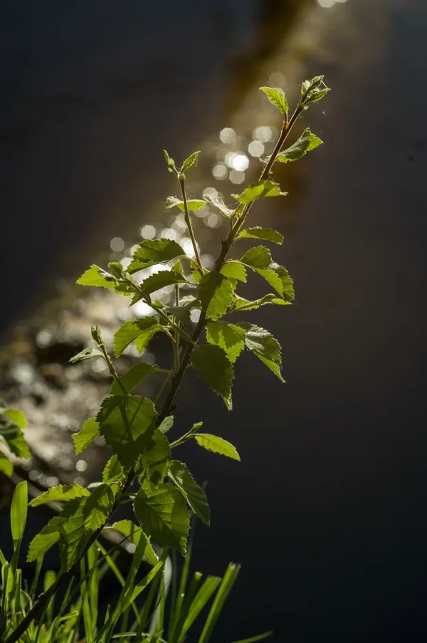 High Moor_IMG3489.webp