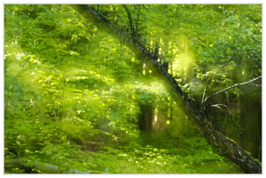 _small__IGP0892_2_DxO.webp