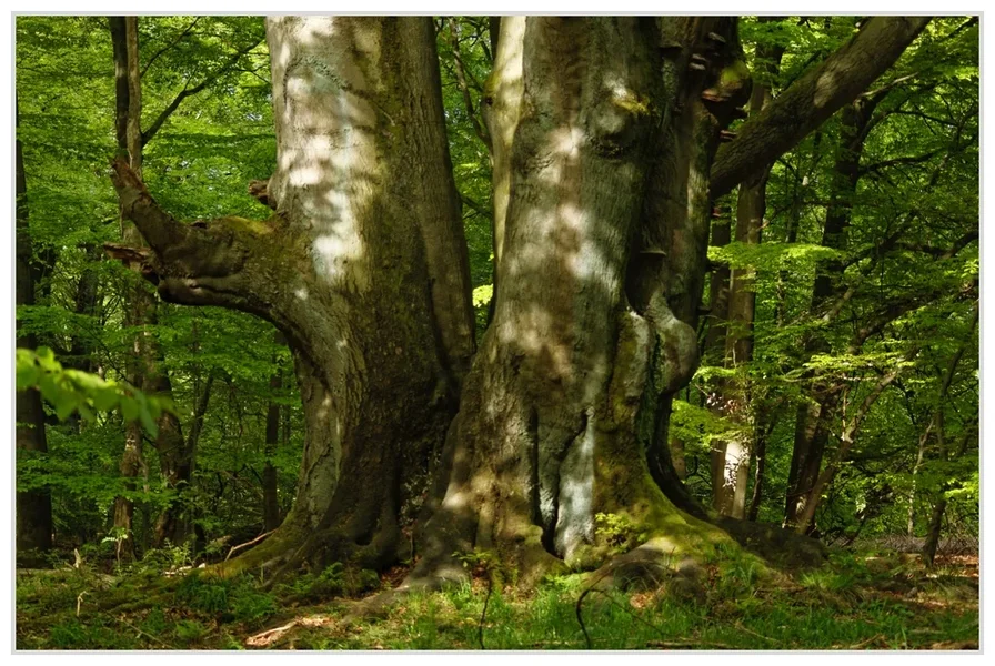 _small__IGP0895_2_DxO.webp
