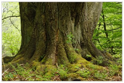 _small__IGP0962_2_DxO.JPG