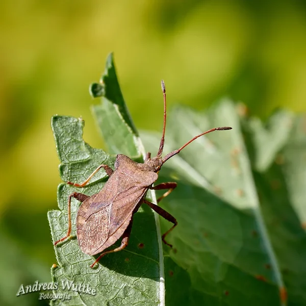 AK1_9426_C1.webp