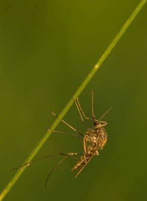 High Moor_IMG3961.jpg
