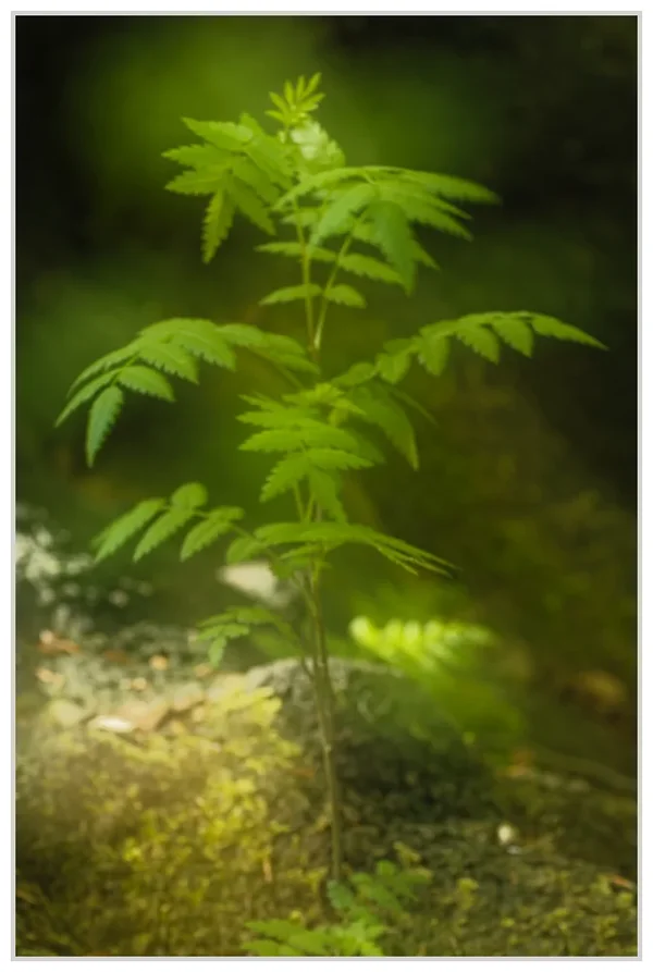 _small__IGP0979_3_DxO.webp