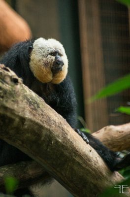 20170812-_IGP6079.jpg 20170812-_IGP6079.jpg