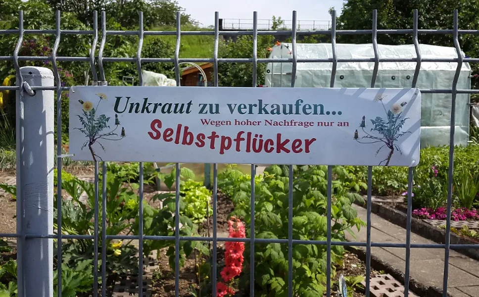 Garten.webp