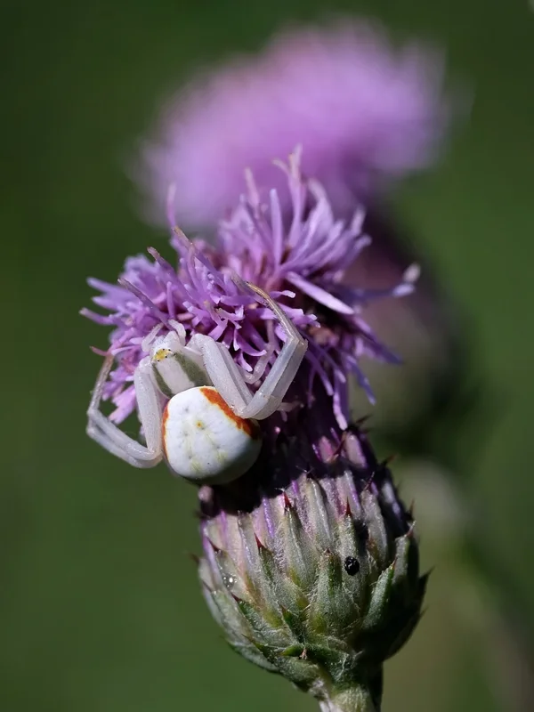 DSCF2971_.webp
