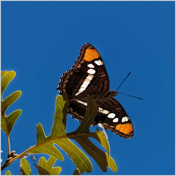 _small__IGP6527_2_DxO.webp