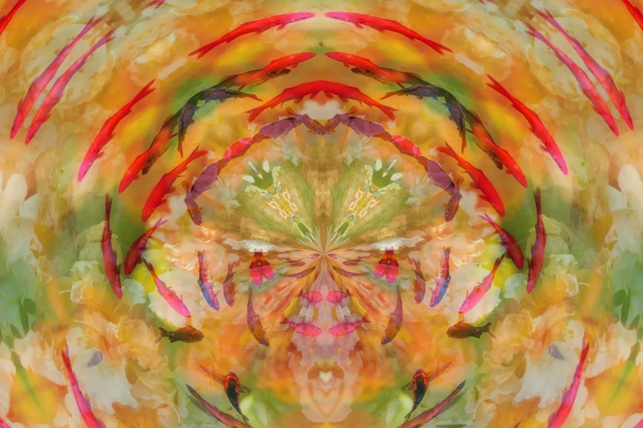BlumenvielfaltSpiegelungundDurchblickSL90280FINCOMPOSINGFISCHEFANTASYGEISTAUSSCHNITTFIN.webp