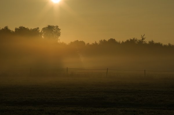 H. M. makro 150718_IMG4967.jpg