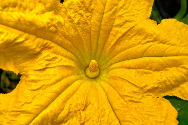 IMG03813.jpg