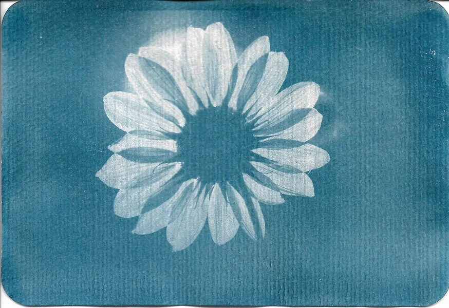 PK-Blume.webp