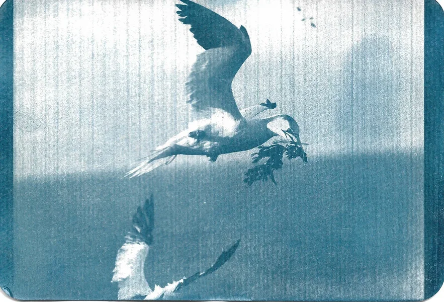 PK-Helgoland.webp
