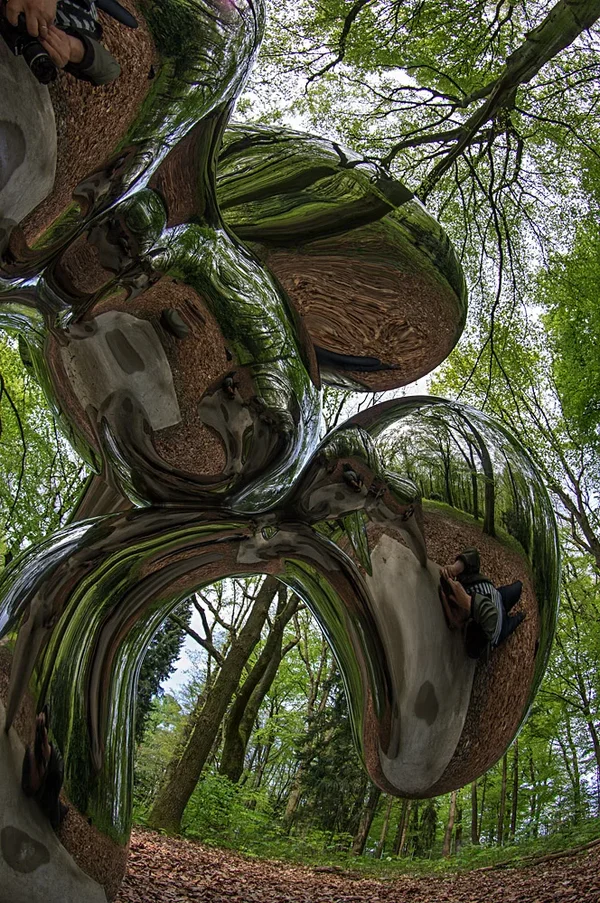 Spiegelwald.webp