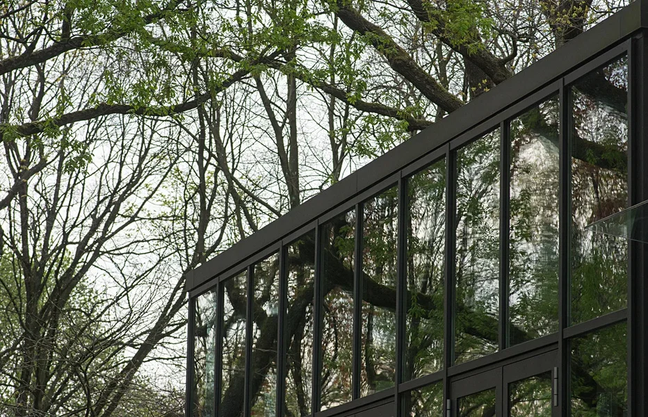 Spiegelung.webp