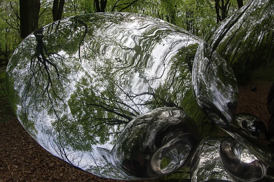 Waldspiegel II.webp