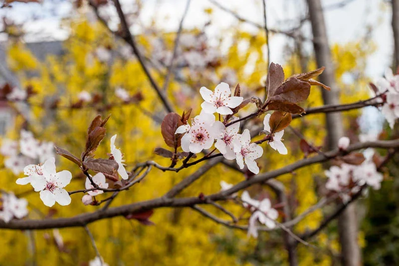20150417_Planitz.webp