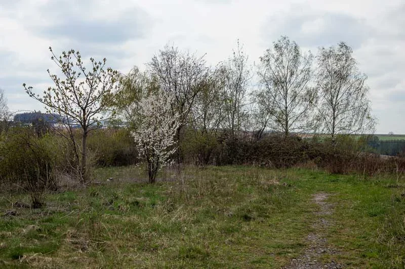20150417_Planitz_009.webp