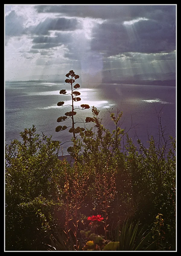 _small_034 01 Tindari-Nach dem Unwetter_bearbeitet-2.webp