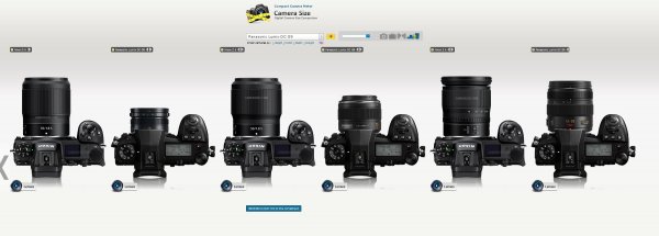Nikon_Z_vs_lumix_g9.jpg