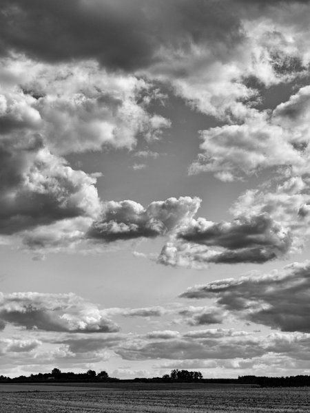 ci_PG9_4699_sw.jpg