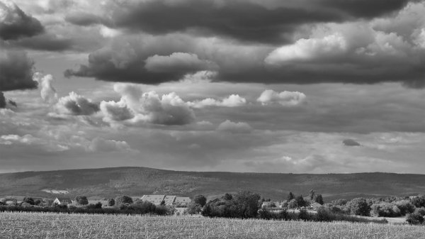 ci_PG9_4756_sw.jpg