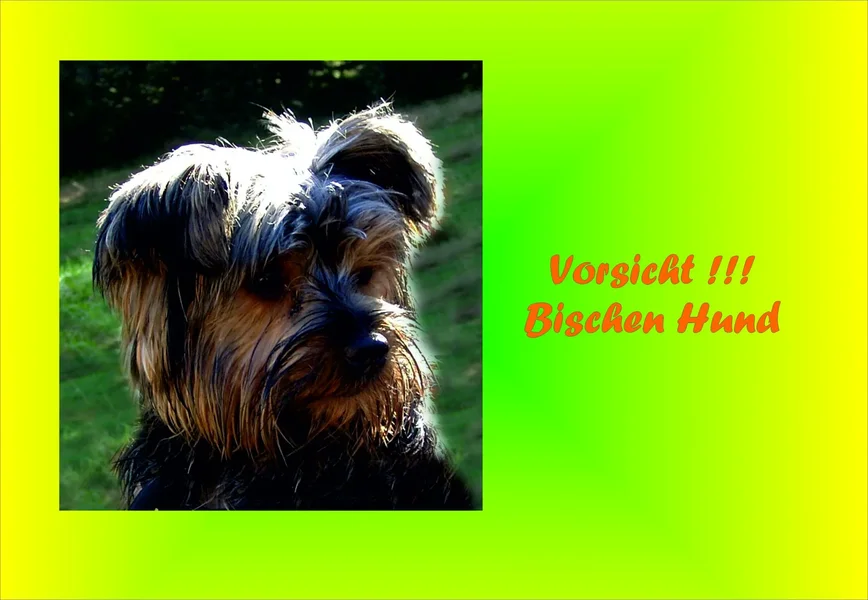 Blacky2.webp
